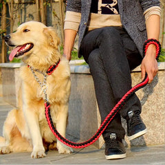 Stylish Durable Leash Set For Large Dogs