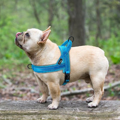 Reflective Padded Harness For Comfortable Walks