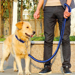 Stylish Durable Leash Set For Large Dogs