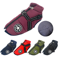 Pet Dog Jacket With Harness