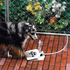 Pet Drinking Water Fountain Machine