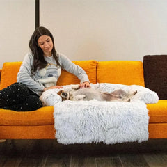 Pet Plush Sofa Bed