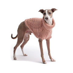 Snuggly Chalet Pet Sweater