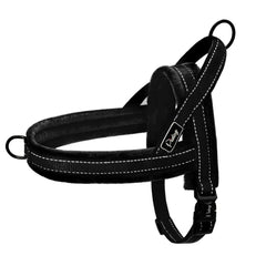 Reflective Padded Harness For Comfortable Walks