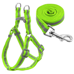 Dog Leash Set