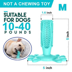 Toothbrush For Dog