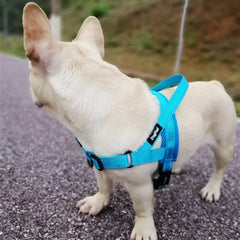 Dog Adjustable Walking Harness