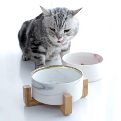 Marbling Ceramic Double Bowl For Pet